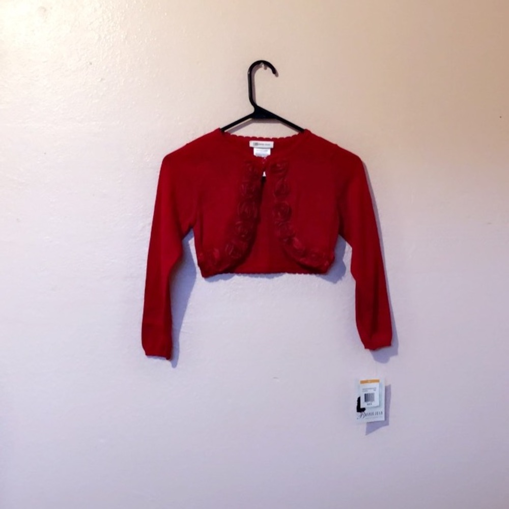 Red sweater with roses